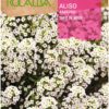 Semillas Rocalba Aliso