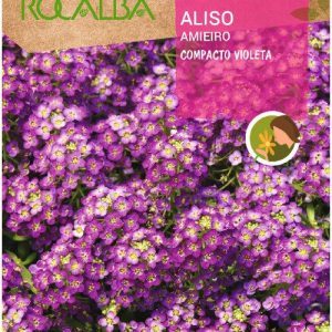 Semillas Rocalba Aliso