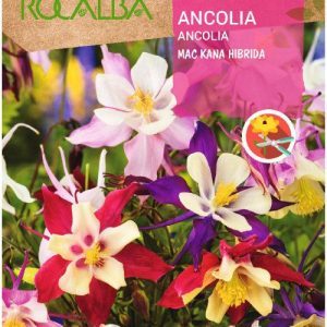 Semillas Rocalba Ancolia o Aquilegia