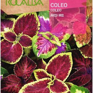 Semillas Rocalba Coleus