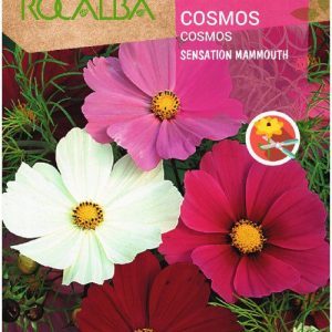 Semillas Rocalba Cosmos Variedades