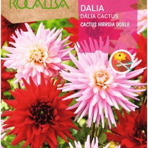 Semillas Rocalba Dalia Cactus