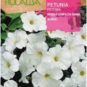 Semillas Rocalba Petunia Compacta Blanca