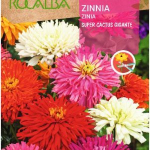 Semillas Rocalba Zinnia Cactus
