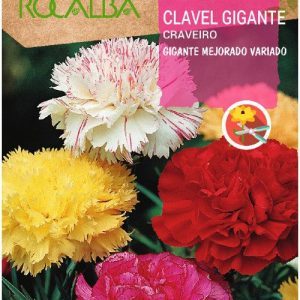 Semillas Rocalba Claveles Variedades