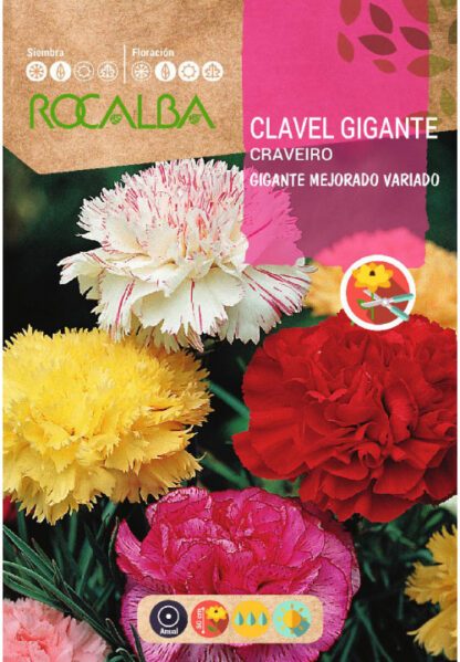 Semillas Rocalba Claveles Variedades