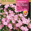 Semillas Rocalba Ilusion Gipsofila - Imagen 2