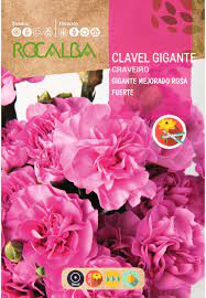 Semillas Rocalba Claveles Variedades