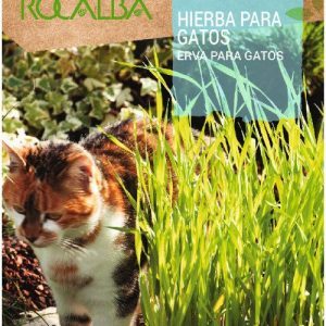 Semillas Rocalba Hierba Para Gatos