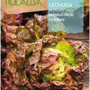 Semillas Rocalba Lechuga Cuatro Estaciones