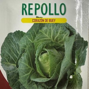 Semillas Repollo Corazón de Buey