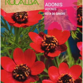 Semillas Rocalba Adonis Rojo