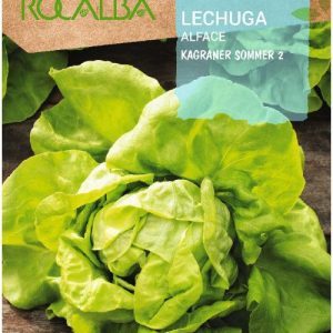 Semillas Rocalba Lechuga Kagraner sommer 2
