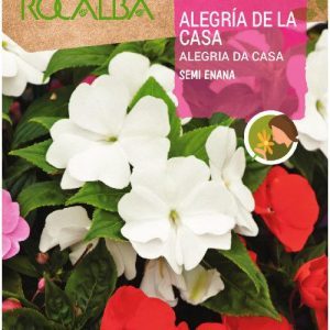 Semillas Rocalba Alegria De La Casa SEMI ENANA