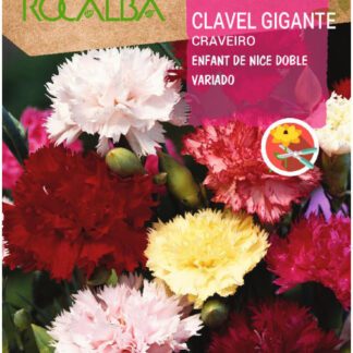 Semillas Rocalba Clavel Enfant De Nice