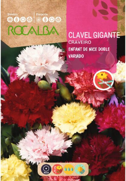 Semillas Rocalba Clavel Enfant De Nice