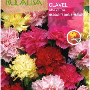 Semillas Rocalba Clavel Margarita Doble