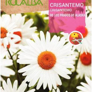 Semillas Rocalba Crisantemo De Los Prados