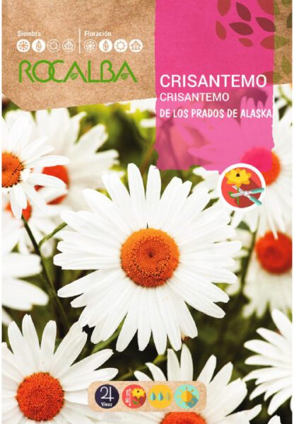 Semillas Rocalba Crisantemo De Los Prados