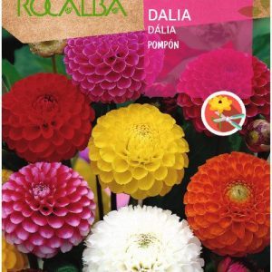 Semillas Rocalba Dalia Pompon Doble