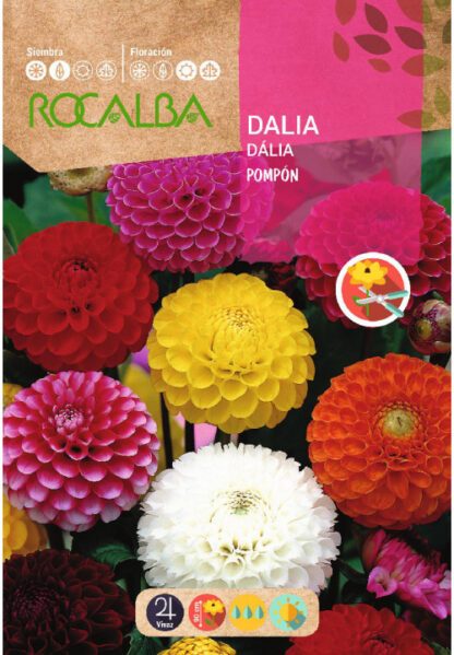 Semillas Rocalba Dalia Pompon Doble