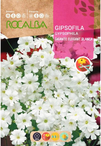 Semillas Rocalba Gipsophila Elegant Blanca