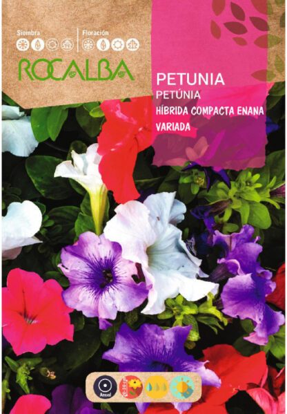 Semillas Rocalba Petunia Hibrida Enana