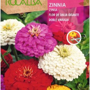 Semillas Rocalba Zinia Flor De Dalia Gigante Doble