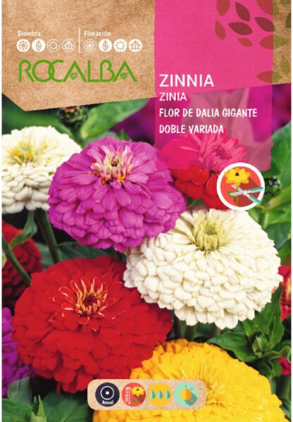 Semillas Rocalba Zinia Flor De Dalia Gigante Doble