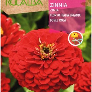 Semillas Rocalba Zinia Flor de Dalia Gigante Roja